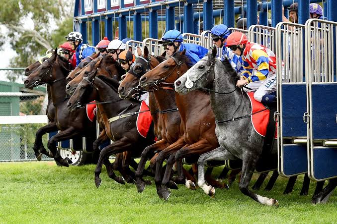 Horse racing start